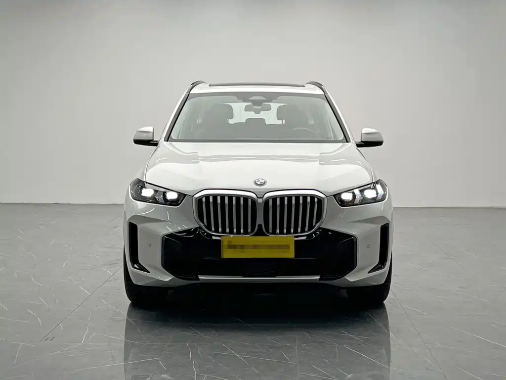 BMW X5 — миниатюра 2