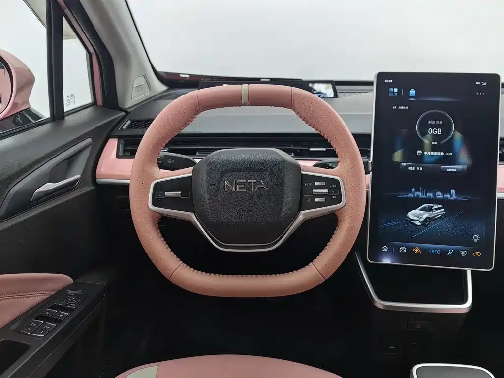 Neta Neta V — миниатюра 11