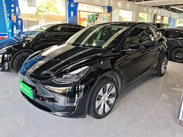 Tesla Model