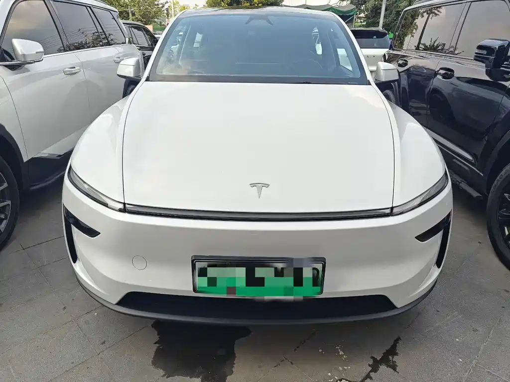 Tesla Model Y — миниатюра 2