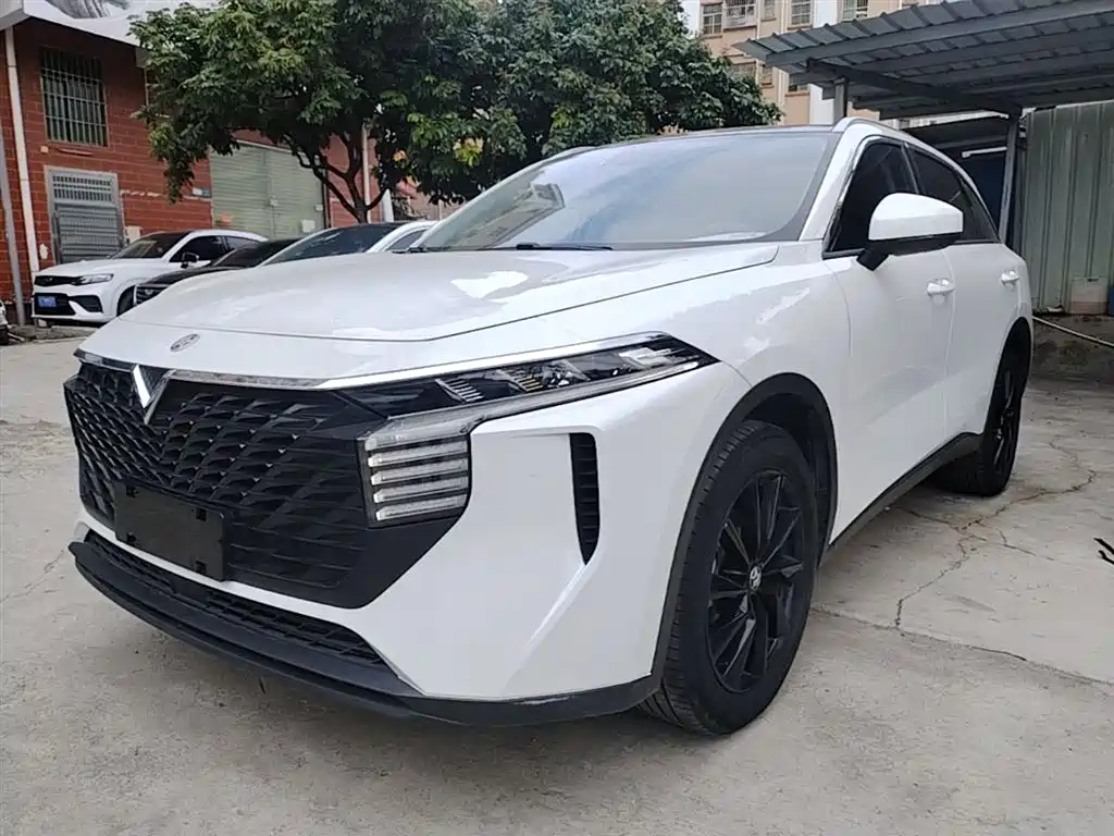 Venucia V 2021