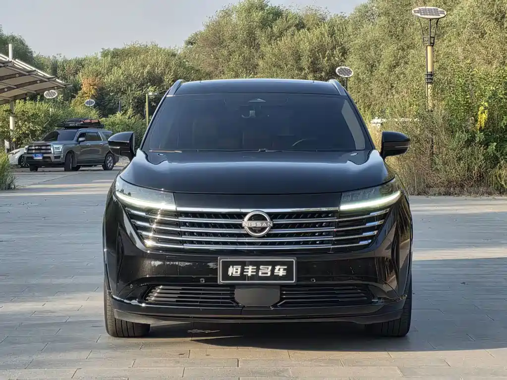 Nissan Teramont — миниатюра 2