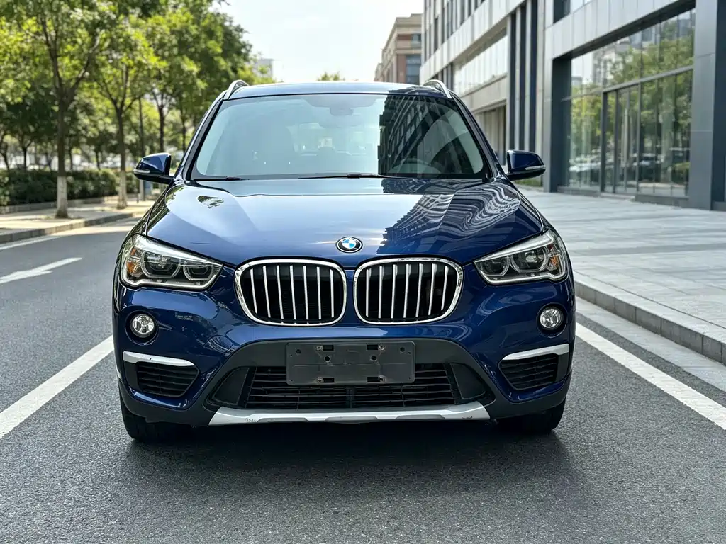 BMW X1 — миниатюра 2