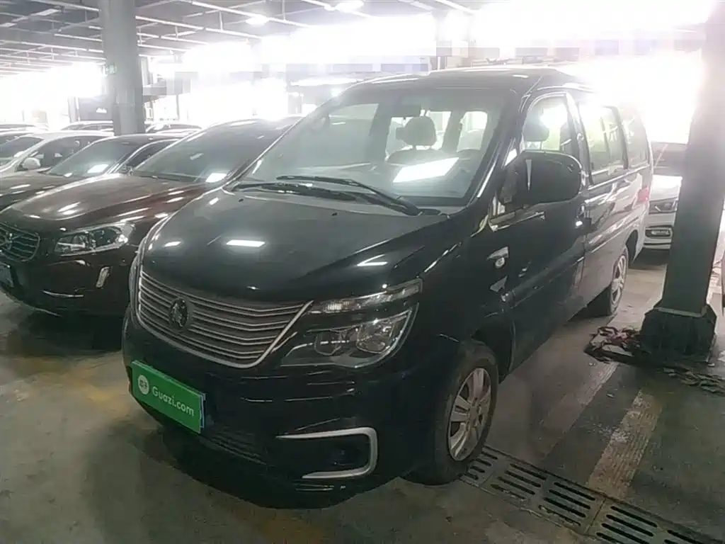 Fengxing Lingzhi 2022
