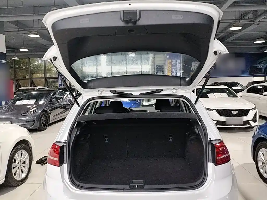 Volkswagen Golf — миниатюра 19