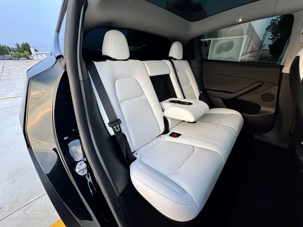 Tesla Model Y — миниатюра 22