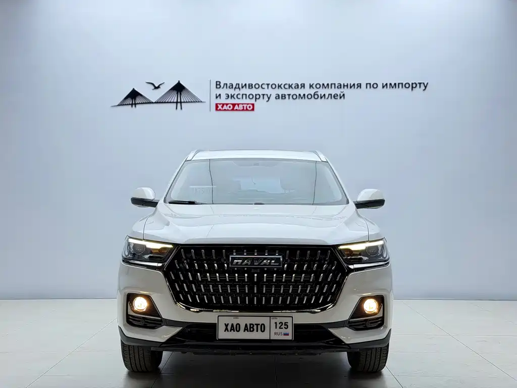 Haval H6 — миниатюра 2
