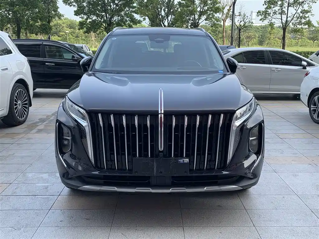 Hongqi Hongqi HS7 — миниатюра 2