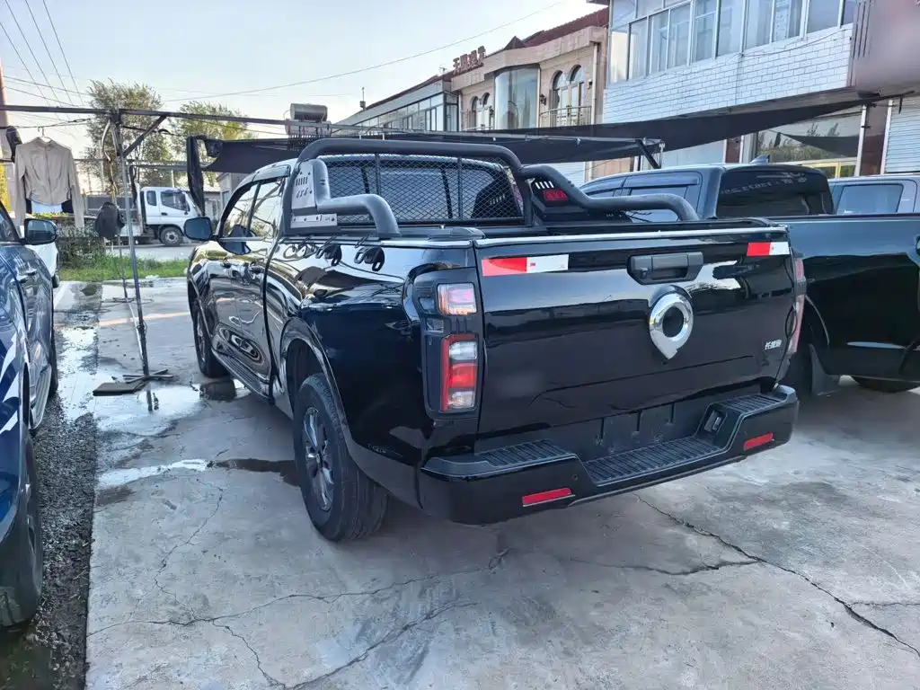 Great Wall Pao — миниатюра 15