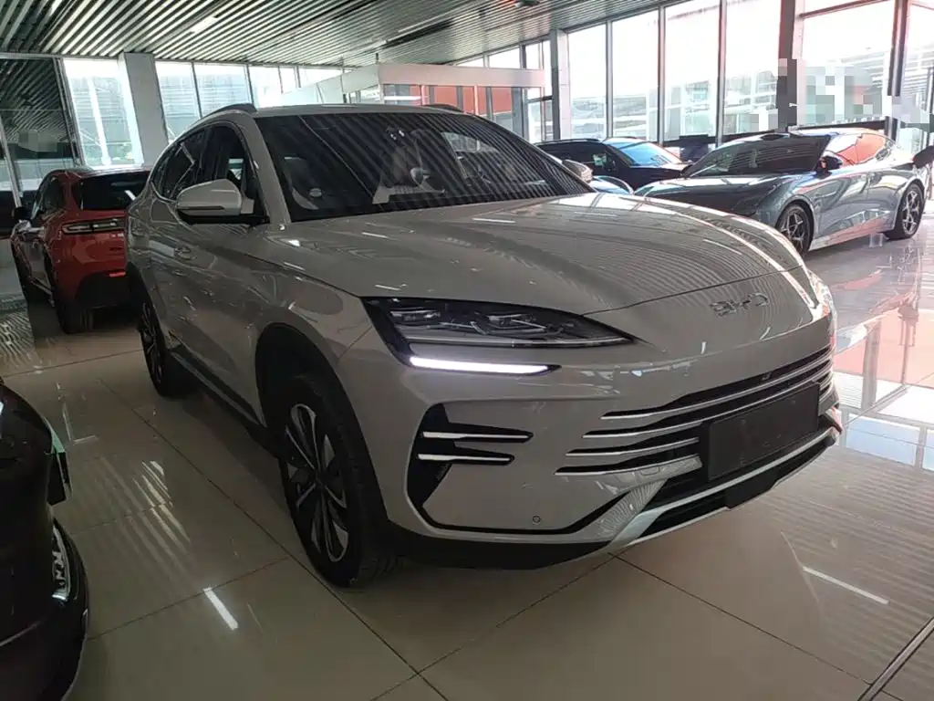 BYD PLUS New Energy — миниатюра 4