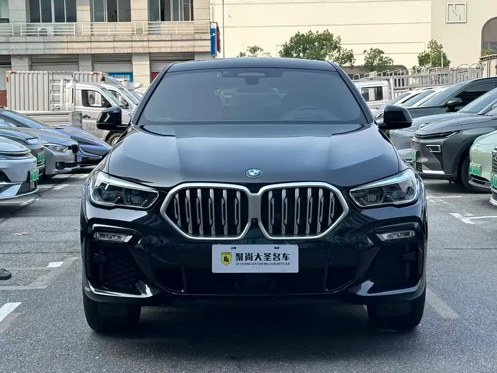 BMW X6 — миниатюра 2