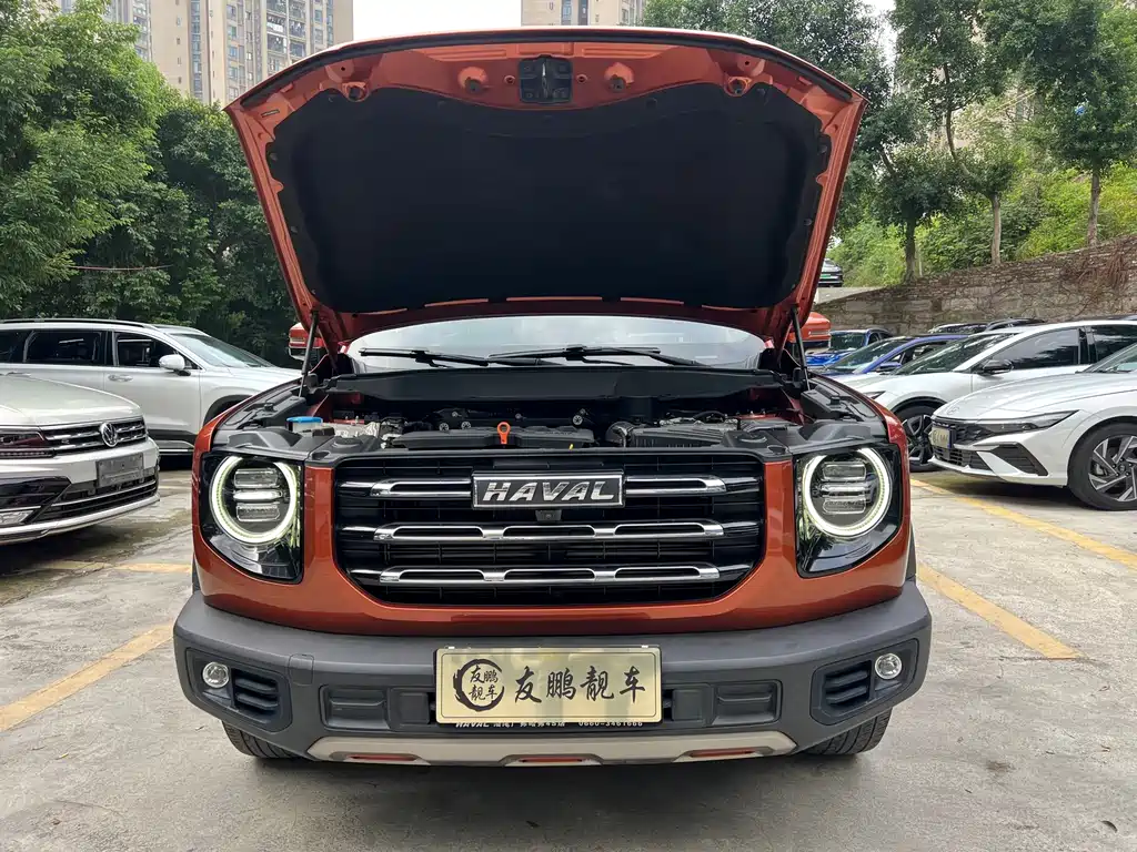 Haval Big Dog — миниатюра 4