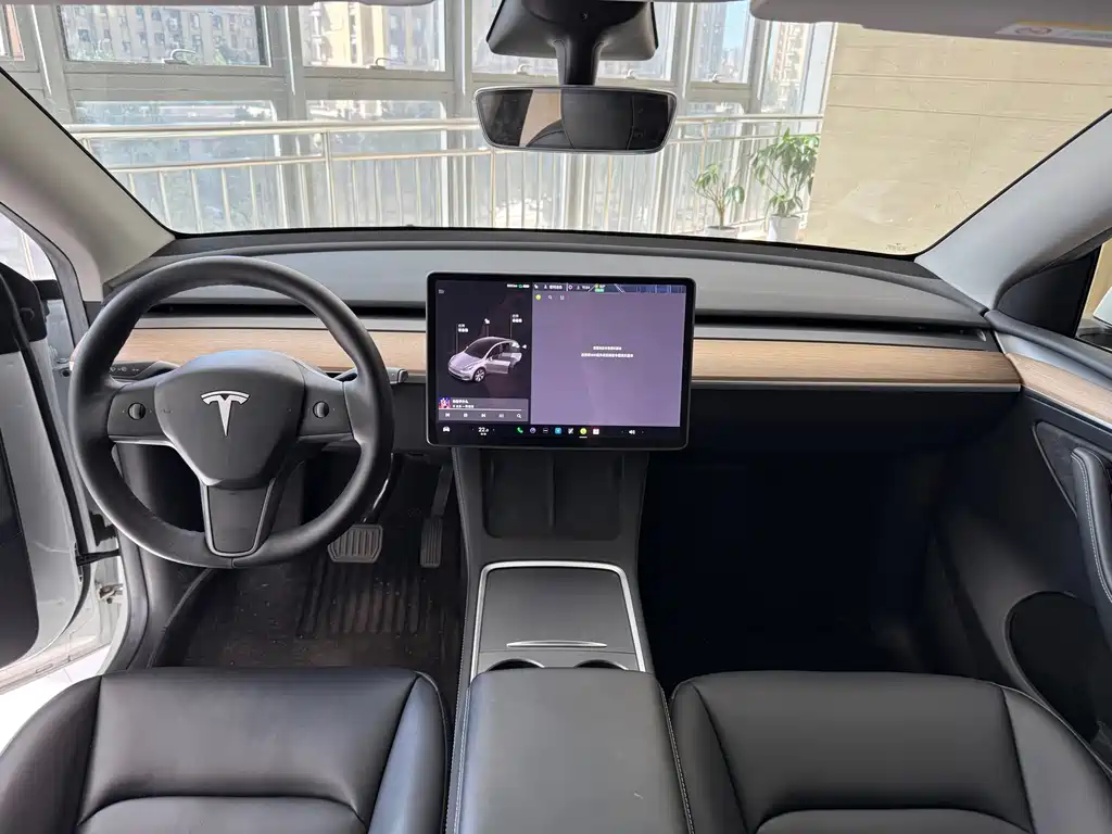 Tesla Model Y — миниатюра 6