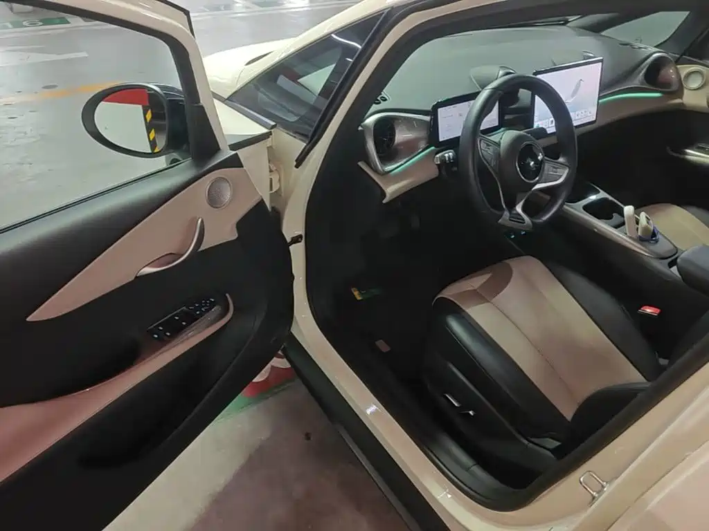 BYD Dolphin — миниатюра 16