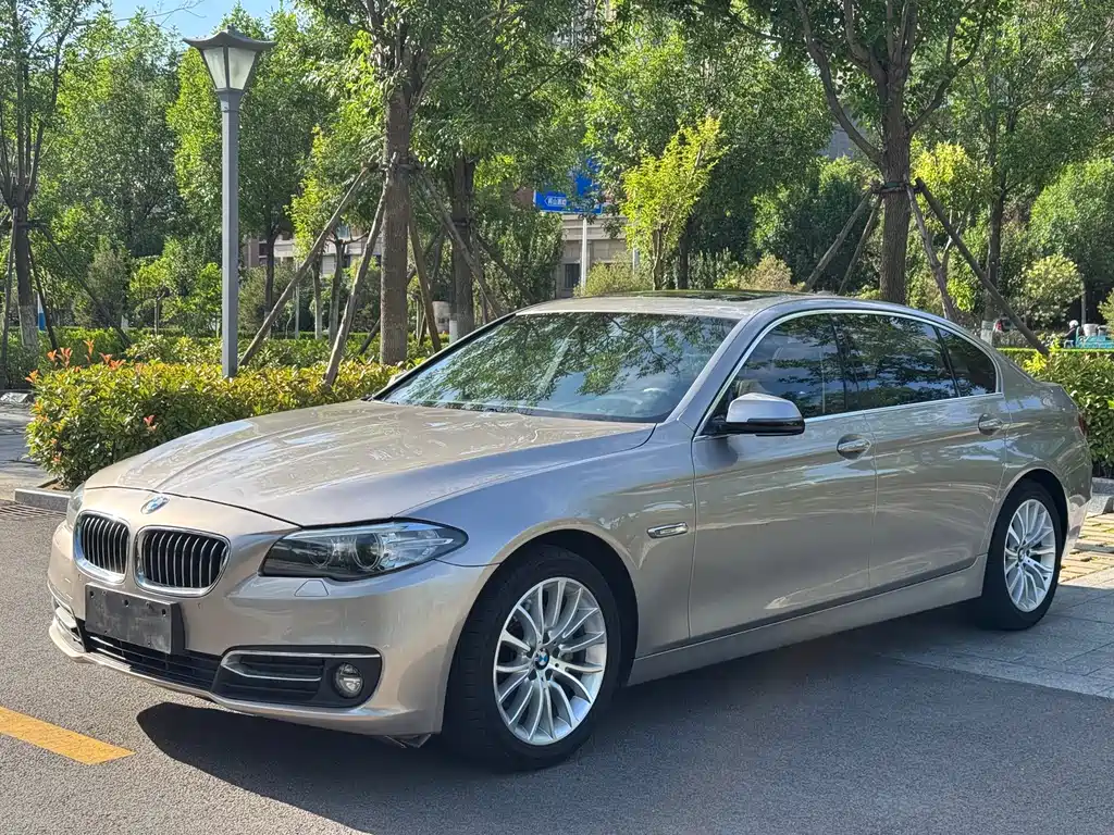 BMW 5 Series 2015