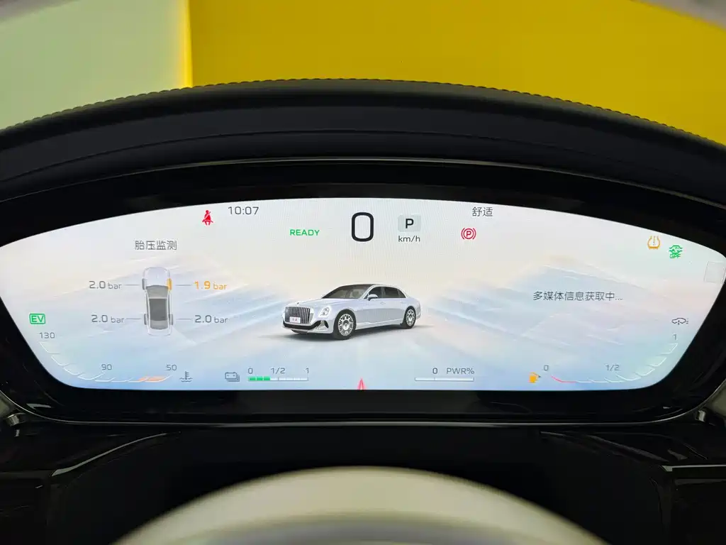 Hongqi Hongqi Golden Sunflower Guoya — миниатюра 26