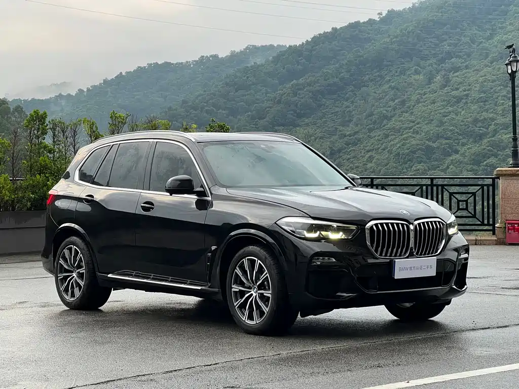 BMW X5 2020 xDrive30i M Sport