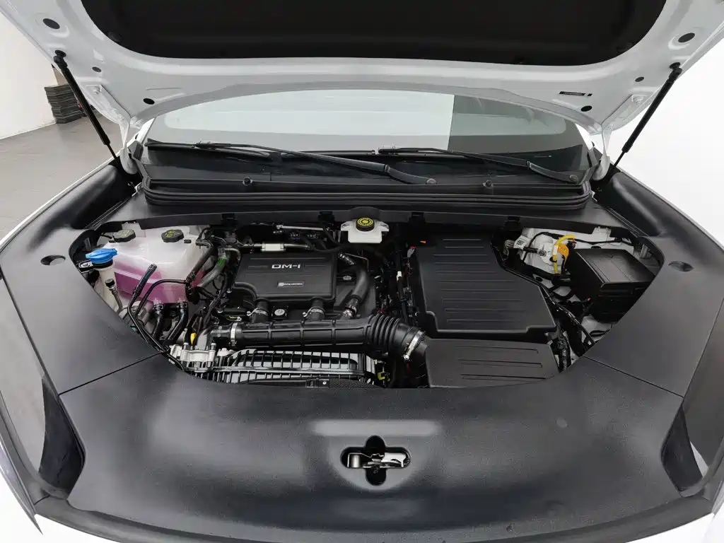 BYD Sealion 06 — миниатюра 6