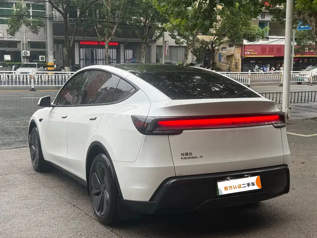 Tesla Model Y — миниатюра 6