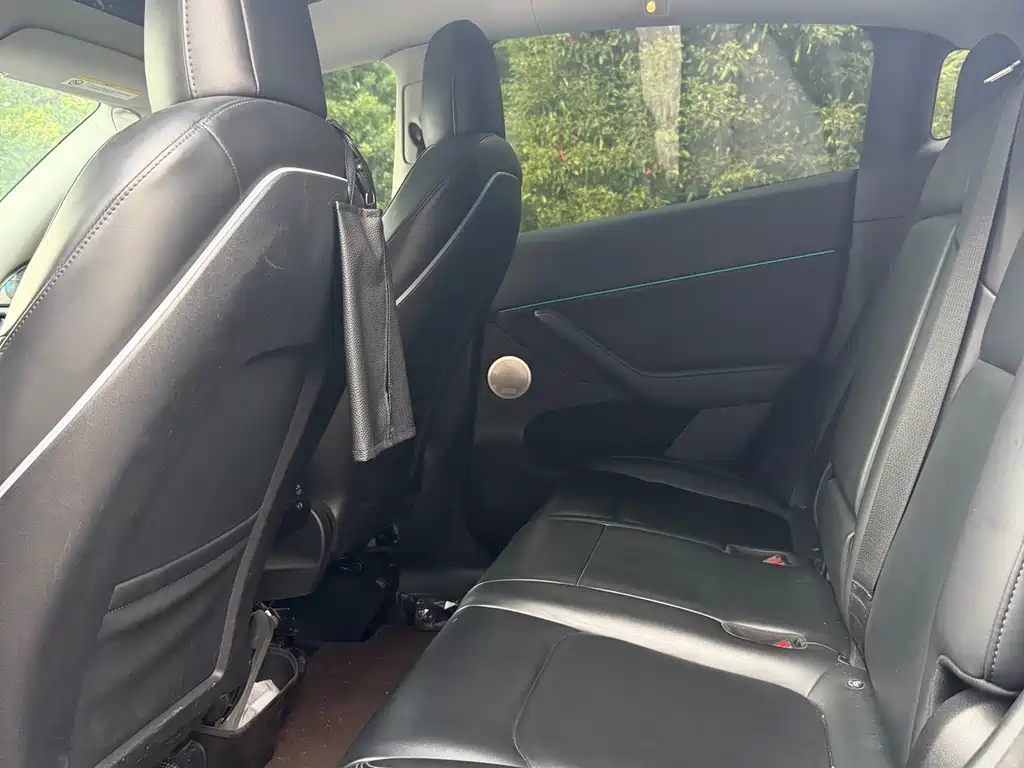 Tesla Model Y — миниатюра 6