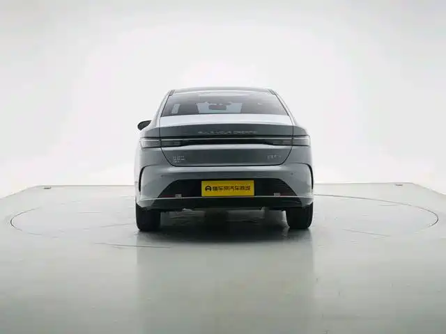 BYD Destroyer 05 2024 DM-i 55KM Luxury