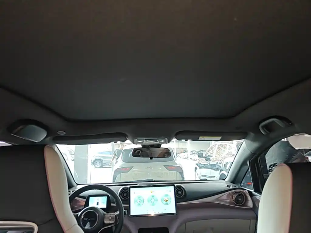 BYD Dolphin — миниатюра 18