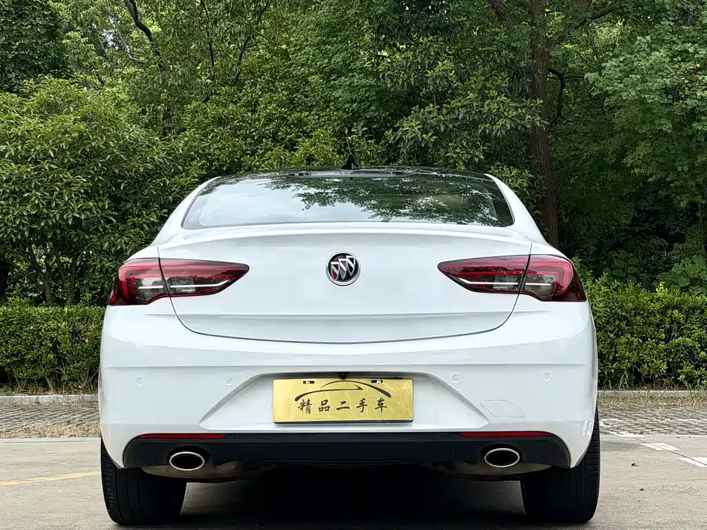 Buick Regal — миниатюра 18