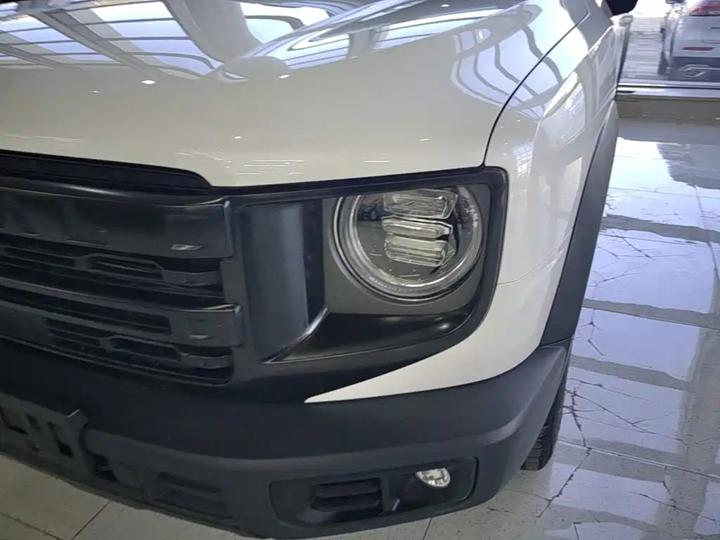 Haval Big Dog — миниатюра 24