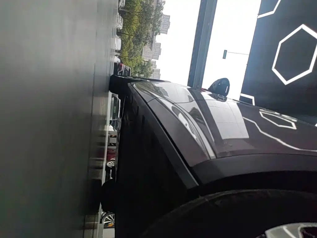BYD Dolphin - фото 22