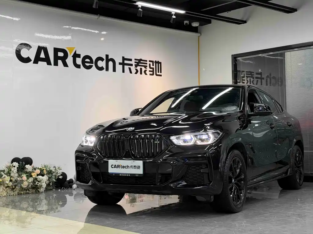 BMW X6