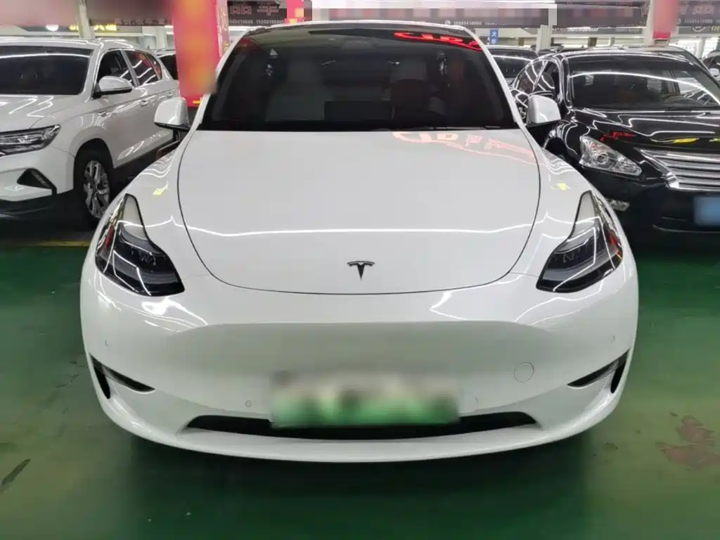Tesla Model Y — миниатюра 3
