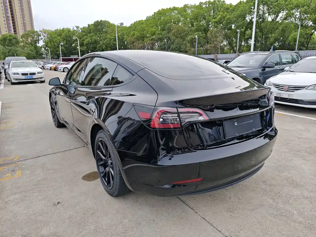 Tesla Model 3 — миниатюра 7