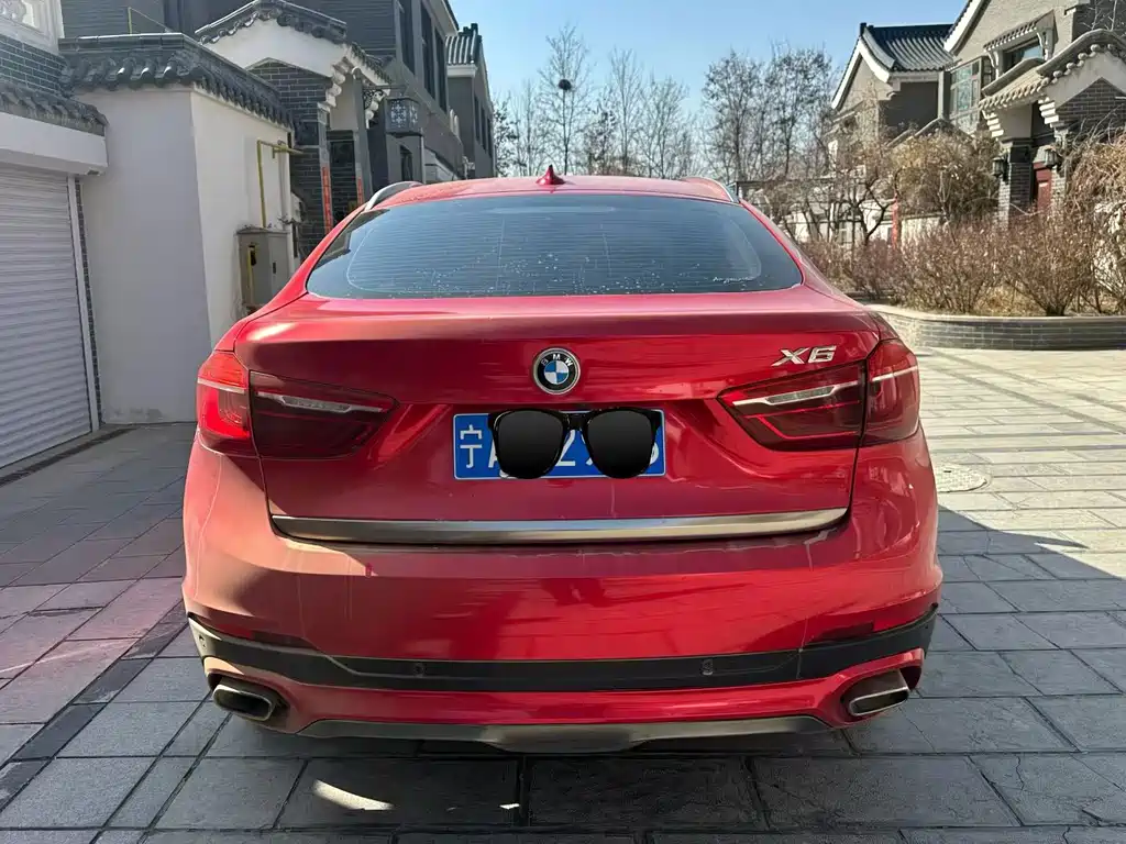 BMW X6