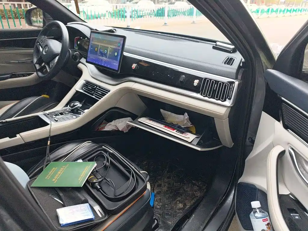 BYD PLUS New Energy — миниатюра 19