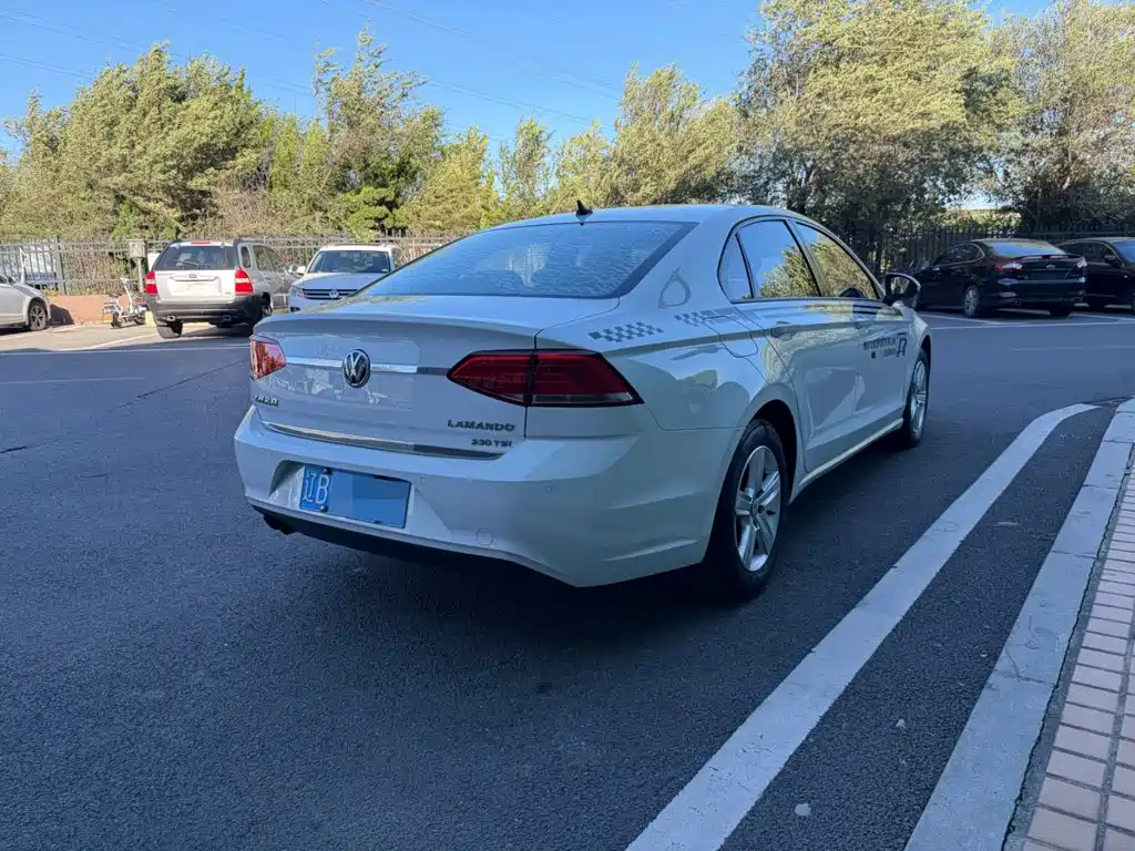 Volkswagen Lamando — миниатюра 10