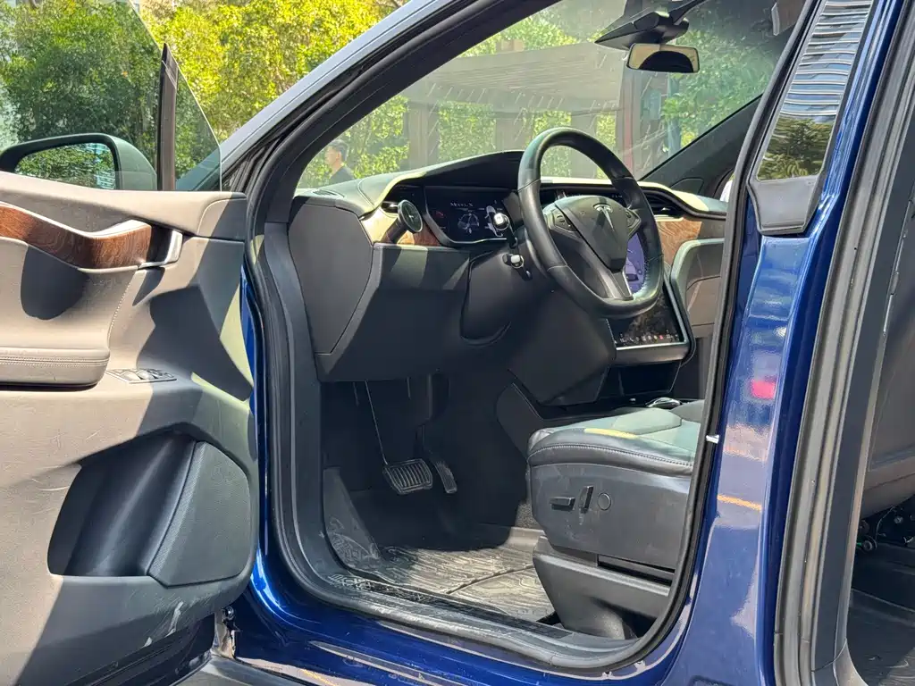 Tesla Model X — миниатюра 8
