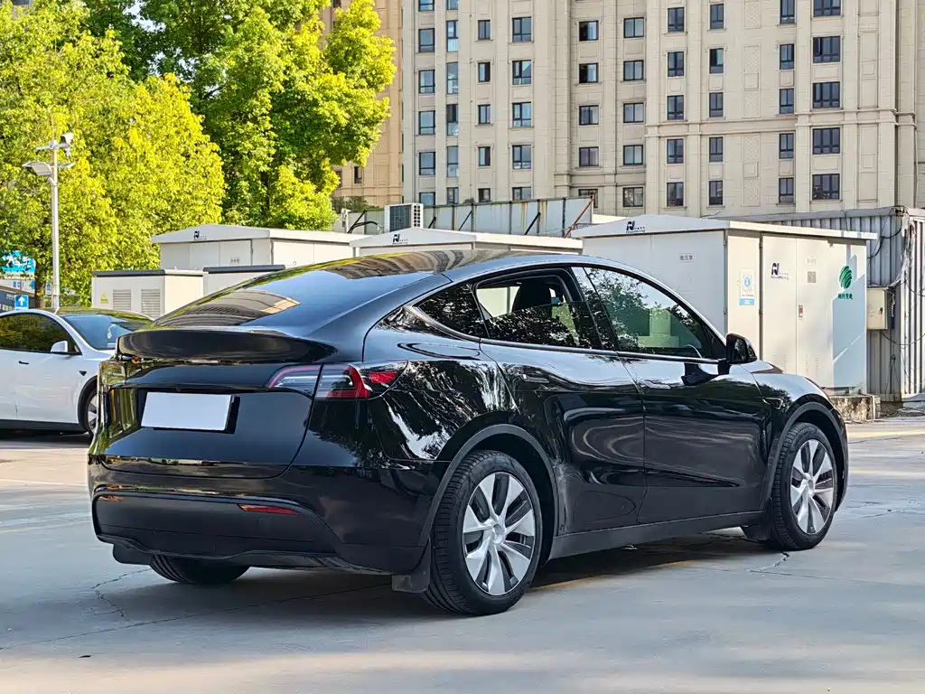 Tesla Model Y — миниатюра 10
