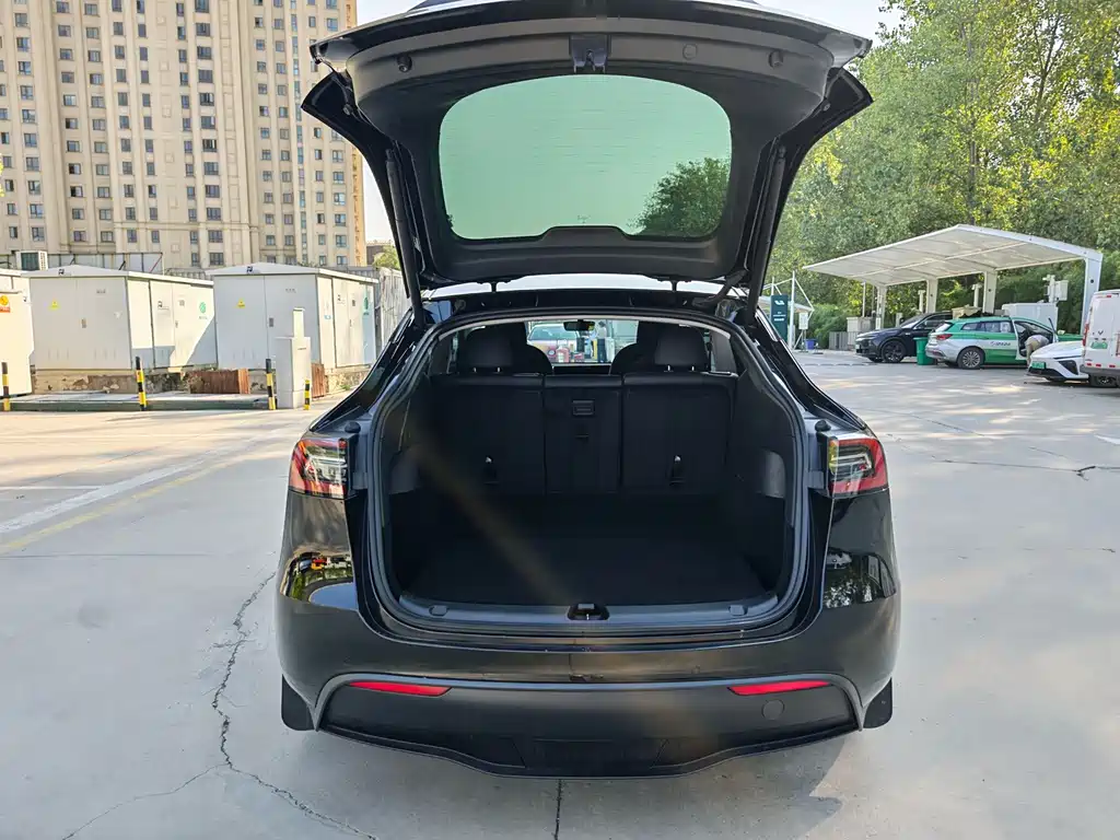 Tesla Model Y — миниатюра 15