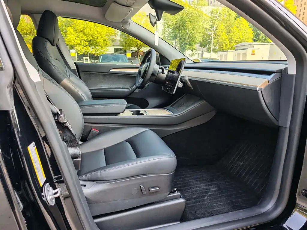 Tesla Model Y — миниатюра 12