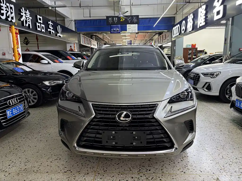 LEXUS NX