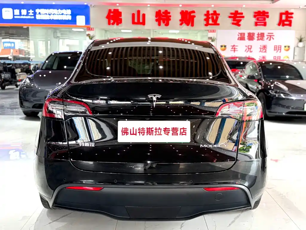 Tesla Model Y — миниатюра 6