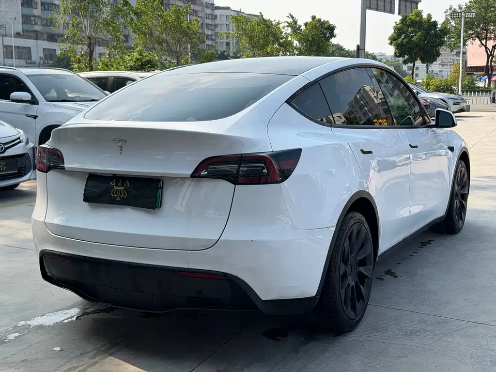 Tesla Model Y — миниатюра 6