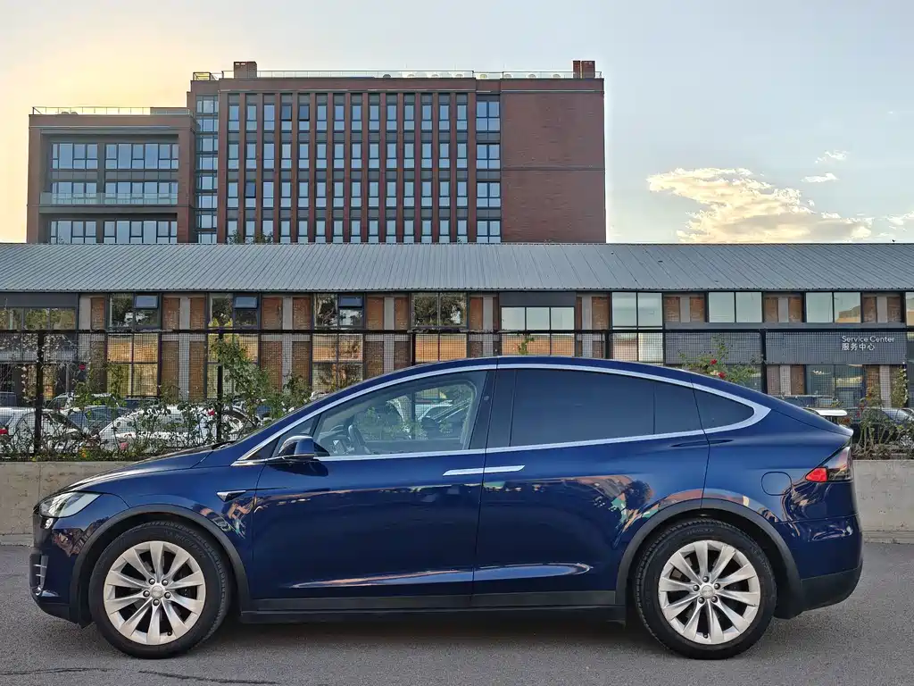 Tesla Model X — миниатюра 6