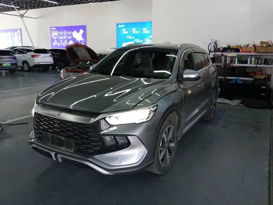 BYD Pro New Energy