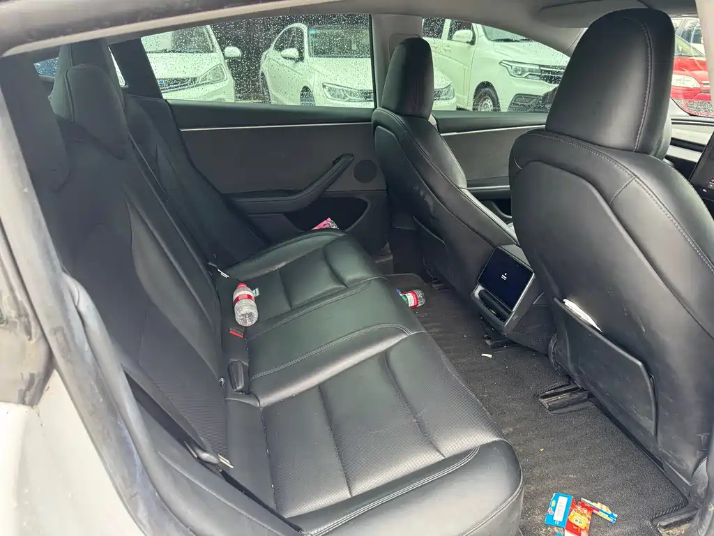 Tesla Model 3 — миниатюра 10