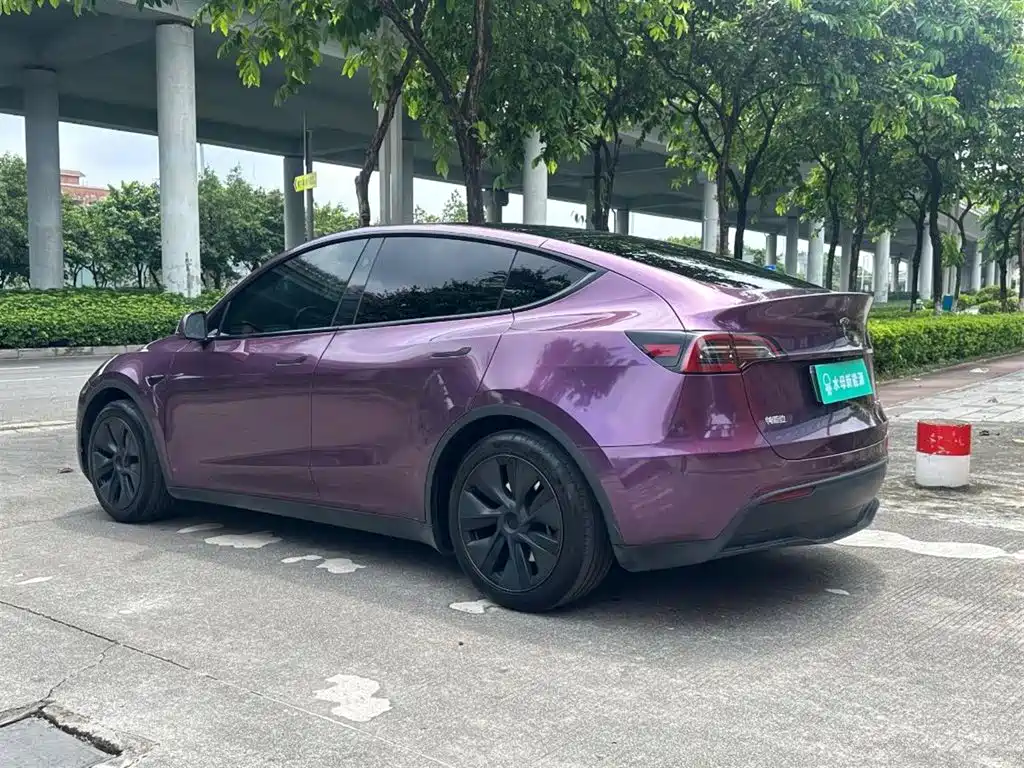 Tesla Model Y — миниатюра 6