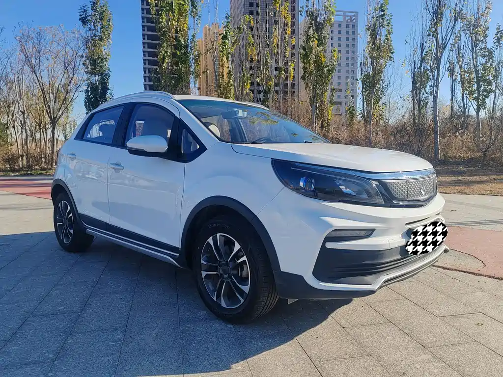 RUILAN AUTOMOBILE MAPLE LEAF 30X