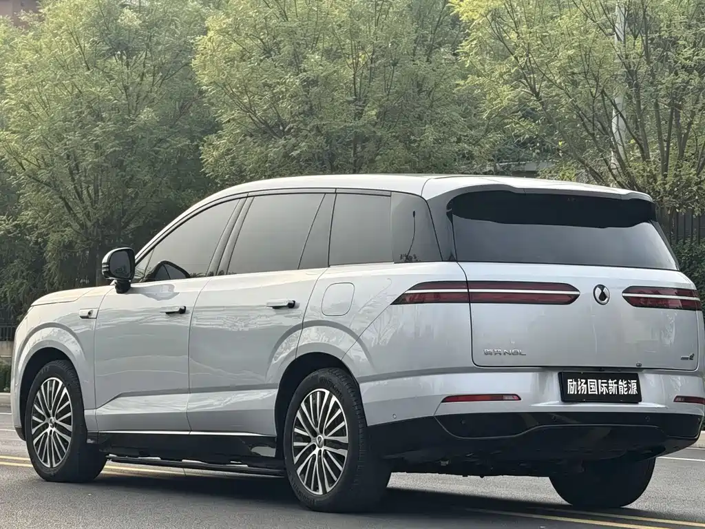 Denza Denza N8L — миниатюра 7