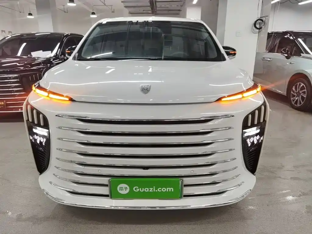 Dongfeng V9 2024 1.5TD 200km Luxury