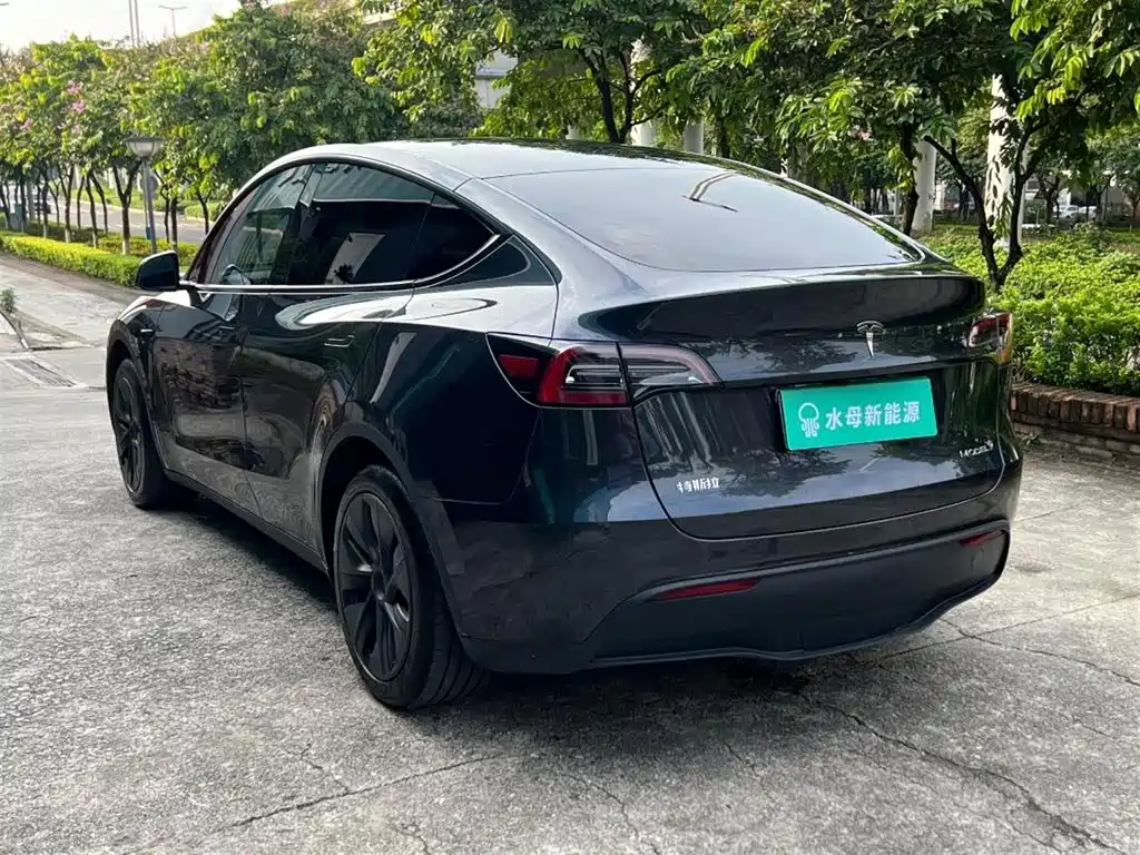 Tesla Model Y — миниатюра 6